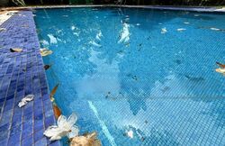 Leedon Park (D10), Detached #458203261